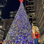 Law Offices of Caryn S. Gartenberg