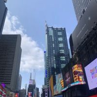 Waldman Michael ico