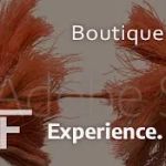 Martin E Friedlander PC