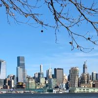 Law Offices of Peter M. Leschner-Attorney at Law ico