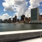 Cathy S. Chester, Esq.