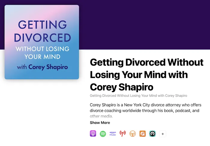 Corey M. Shapiro, Esq. Picture 4