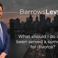 Barrows Levy PLLC ico