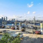 Michelle Epstein Esq.