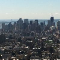 Fleischman Consumer Law Center ico