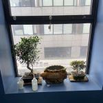 Law Office of Muhammed Kus PLLC