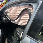 The Case Handler - Adam Handler, Esq.