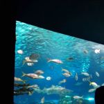 Fashakin & Associates, PC