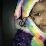 Law Offices of Michael A. Cervini