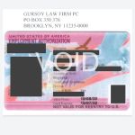 Gursoy Immigration Lawyer