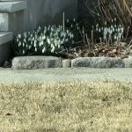 Verkowitz Charlene K