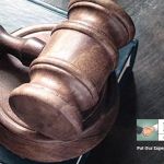 Robert Lucks Attorney at Law