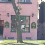 Law Offices of Abraham Kinstlinger