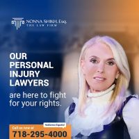 Law Firm of Nonna Shikh ico