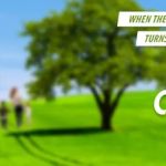 Mace H. Greenfield Attorney At Law