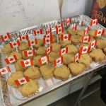 Canadian Law Group LLC