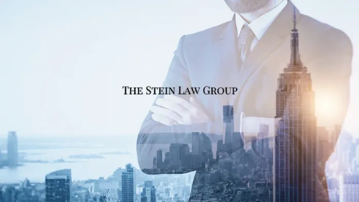 The Stein Law Group Picture 1