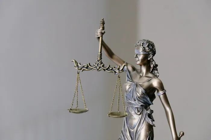 Cecile D. Portilla Attorney at Law Picture 2