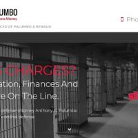 The Law Offices of Anthony N. Palumbo ico