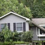 Robert Bura Public Adjuster