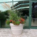 Steven M Greco & Associates