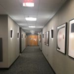 Law Office of Carl Spector