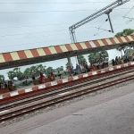 JT Law Office (谭律师楼), Immigration, Patent and Trademark