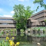 Pederson Real Estate Law