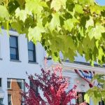 Philip Hersh Law Offices: Hersh Philip