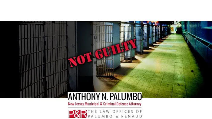 The Law Offices of Anthony N. Palumbo Picture 8
