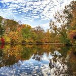 Law Office of David Dumbroff