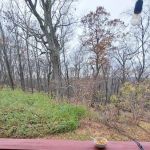 Fox Hill Dover Tenant Corporation