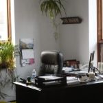 Law Offices of Bartholomew Baffuto