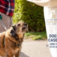 Law Office of Peter Briskin – NJ Injury & Accident Attorney ico