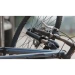 Cohen, Feeley, Altemose & Rambo