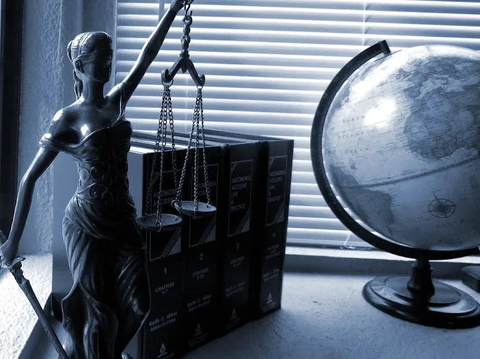 The Law Offices of Lidia Alperovich Picture 9
