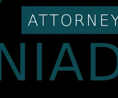 Ely Laniado, Attorney at Law
