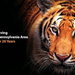 Mayerson Injury Law, P.C.