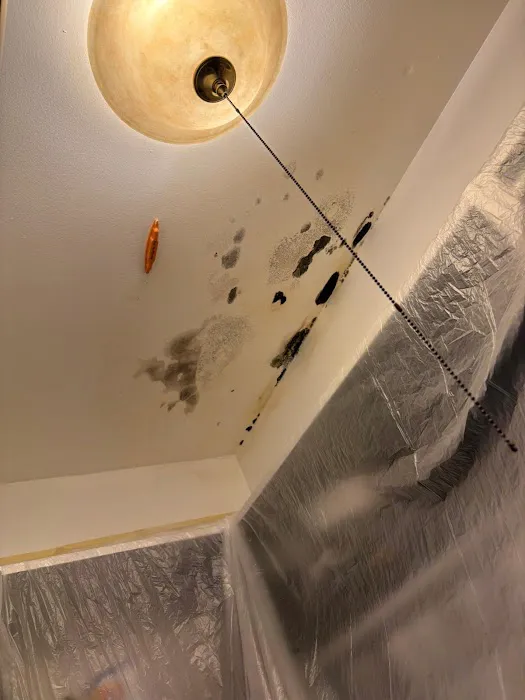 NorthStar Public Adjusters Picture 5