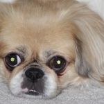 Blessing Law & Mediation