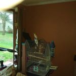 Patricia Ronayne, Esquire, P.C.