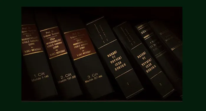 Law Office of Leo M. Pall, Esq. Picture 1