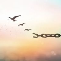 Bankruptcy Lawyers at Bankruptcy Done Right ico