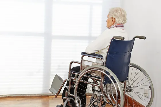 Wilk Law Personal Injury & Car Accident Lawyers Picture 6