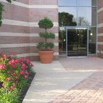 Rochelle S. Rabin, Attorney