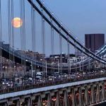 Fridie Law Group LLC