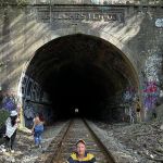 The Law Office of Sandy Steeves