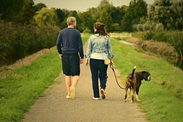 Chesapeake Wills & Trusts Picture 6