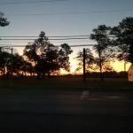 Kerry Walsh Hartington