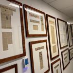 Steven Mitchell Sack Attorney